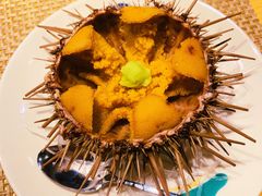 海胆-初味原日本料理