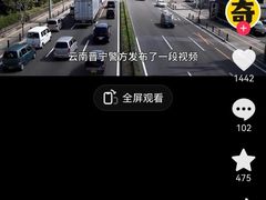 -约翰·菲茨杰拉德·肯尼迪国际机场