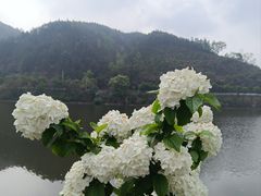 -新安江山水画廊风景区