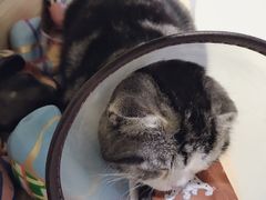 -一品格美术·中考高中成人美术培训