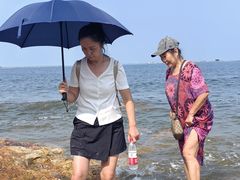 -仙人岛