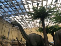 -国家自然博物馆