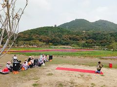 -清溪大王山森林公园