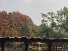 -深圳野生动物园
