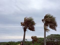 -七星潭蓝天广场