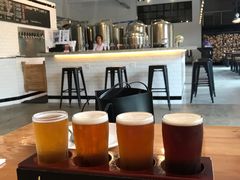 啤酒试饮-Twin Tails Brewpub双尾精酿餐吧(八坼店)