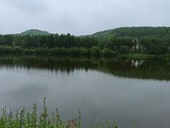 -塞罕坝国家级自然保护区