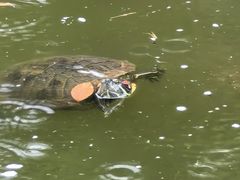 -健眺小海鲜(临海后山店)