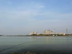 -金银湖国家城市湿地公园