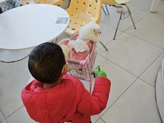 -怪兽屋·羊驼·猫咖·狗咖(俊华广场店)