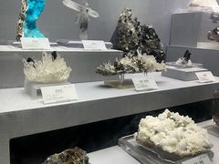 -湖南省地质博物馆