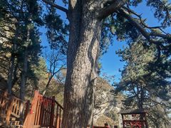 -终南山南五台景区