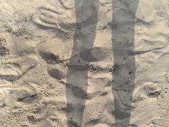 -太阳岛沙滩泳场水上乐园