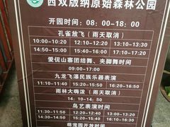 -西双版纳原始森林公园