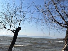 -捞渔河湿地公园