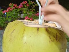 -范饭椰林川湘味海鲜·椰子鸡(三亚湾椰梦长廊店)