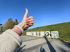 -瀛海足球主题公园