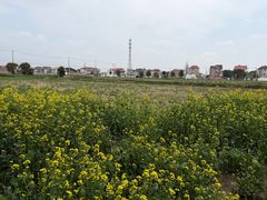 -龚家花园农家乐休闲别墅