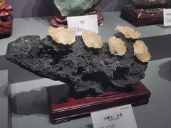 -湖南省地质博物馆