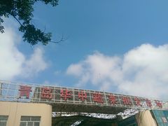 -重振华中蔬菜批发市场(重庆中路店)