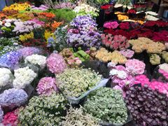 -双季花艺园艺市场(浦东店)