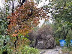 -阳台山自然风景区