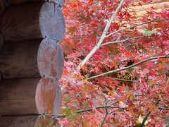 -九如山休闲旅游度假区