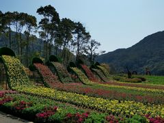 -广州市石门国家森林公园