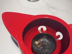 -辣可可·小炒黄牛肉(望京凯德MALL店)