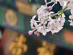 -BE YOLO必有乐&小红帽三明治