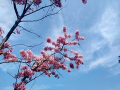 -福建鲤鱼洲酒店