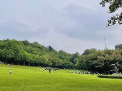 -广州雕塑公园