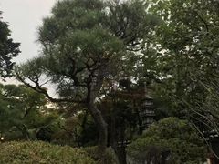 -料亭菊水楼
