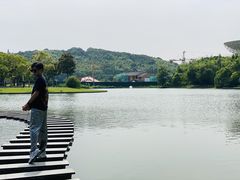 -上海佘山世茂艾美酒店