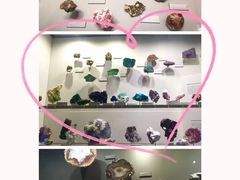 -墨尔本博物馆(Melbourne Museum)