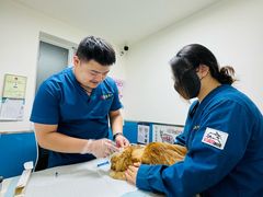 -康爱犬猫诊所·牙专科·骨外科·影像内科(丰宁店)