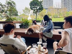 -SAANCI山池咖啡(海上世界文化艺术中心店)