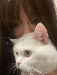 -妃格美发沙龙·烫发·染发