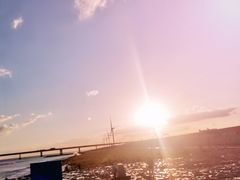 -南汇新城海滩