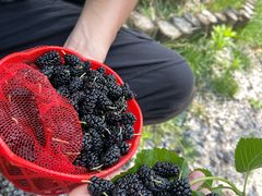-丝绸小镇荻港古村