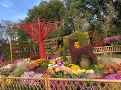 -共青国家森林公园-南大门停车场