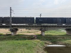 -黄河故道国家森林公园