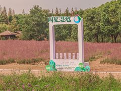 -同里国家湿地公园