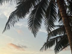 -尼甘布海滩