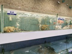 -新海利(北岭店)