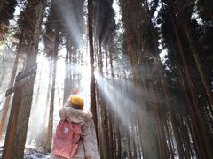-武陵山森林公园