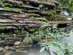 -凤来栖·净庭院·火锅(欧尚店)