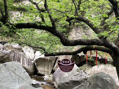 -洛阳白云山景区