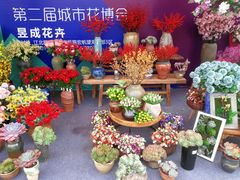 -重庆市江北嘴中央商务区中央公园