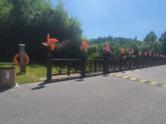 -黄海国家森林公园